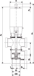 i-SSV DN50 22